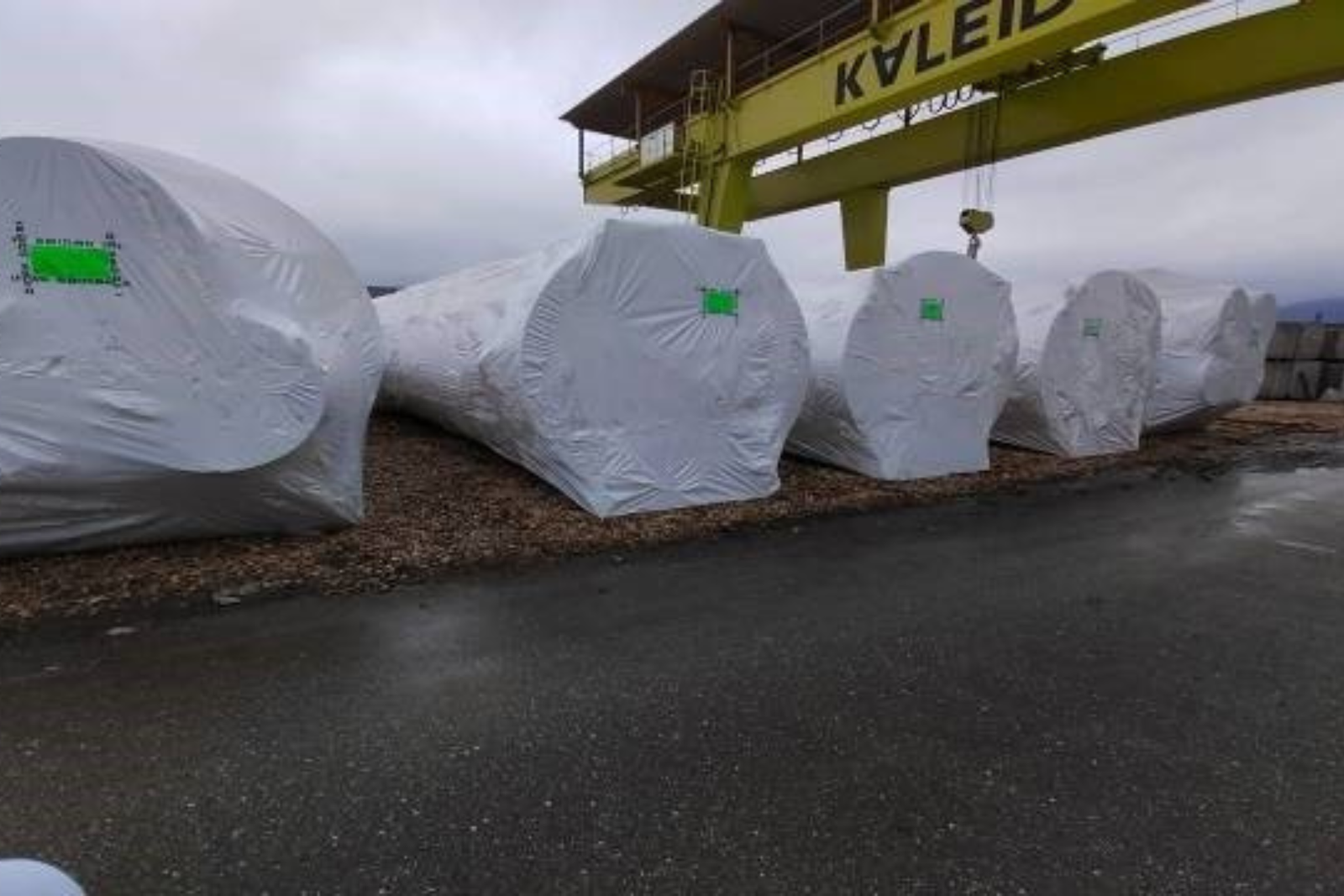 Untitled design - 2025-09-08T204711.634